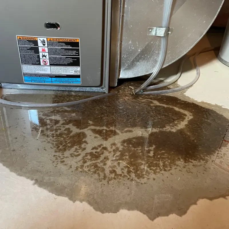 Appliance Leak Cleanup in Fayette County, IN